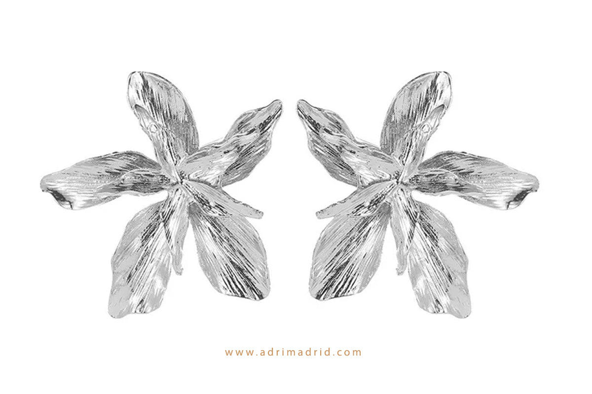 Fancy Flower Earrings - Silver Colour