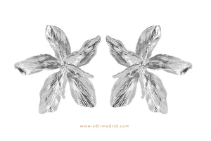 Fancy Flower Earrings - Silver Colour